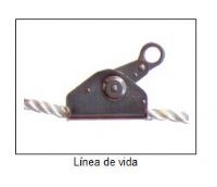 Lineas de Vida